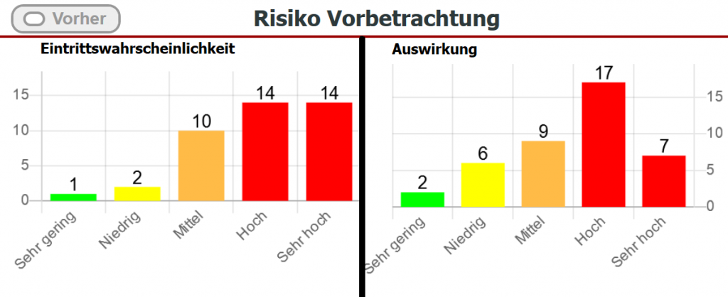 Risikoanalyse: Dashboard - Risiko Vorbetrachtung